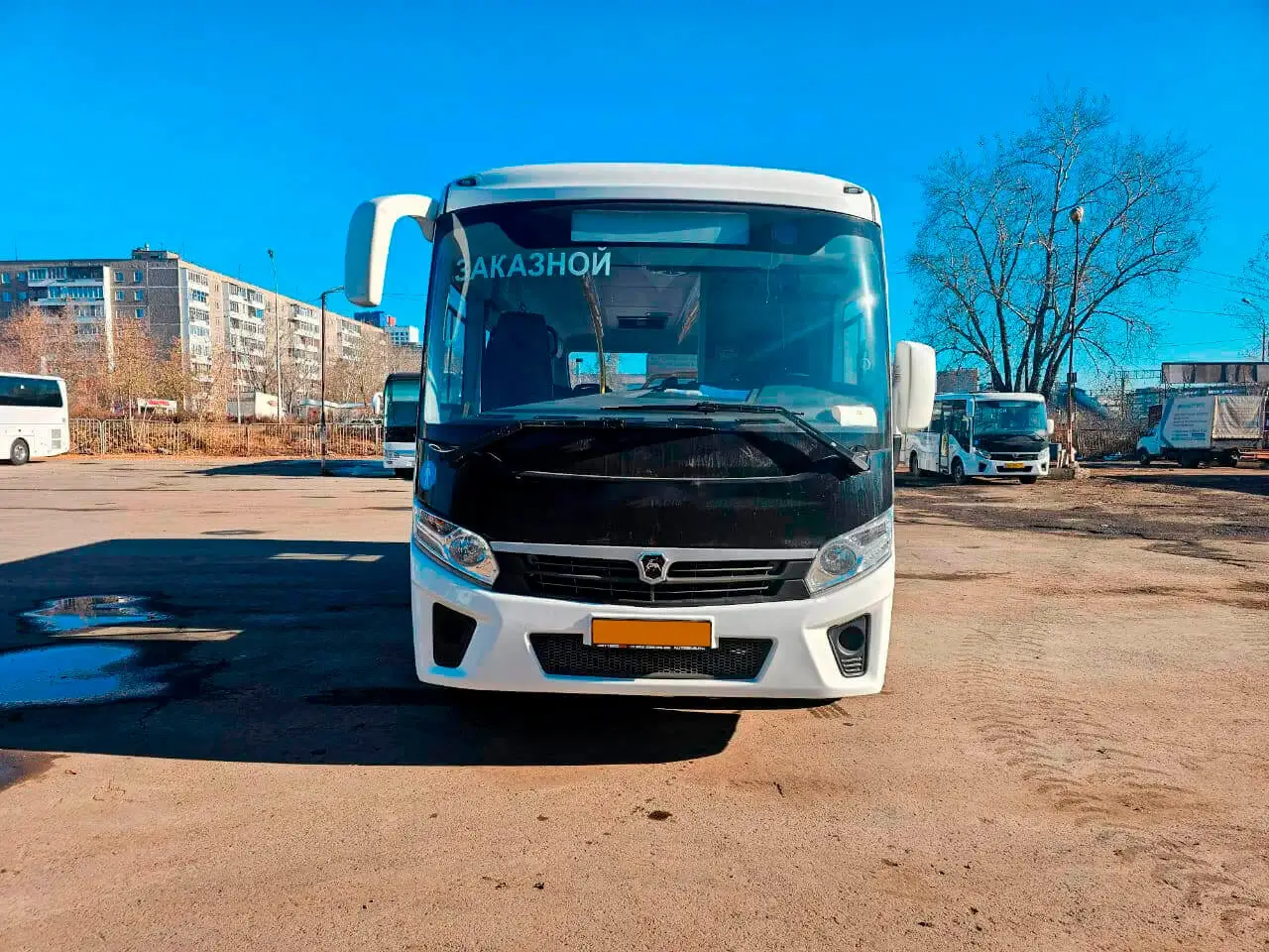 ПАЗ Вектор Next на 30 мест на заказ